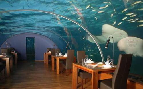 The under-sea restaurant is inside the Hilton Maldives Resort & Spa. It is five metres below the waves of the Indian Ocean , surrounded by a vibrant coral reef and encased in clear acrylic offering diners 270-degrees of panoramic underwater views.